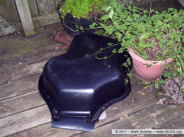 Small plastic garden pond over Ant drawer Small plastic garden pond over Ant drawer